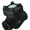 Van một chiều kết nối ren NPT chịu nhiệt cao KTN 584