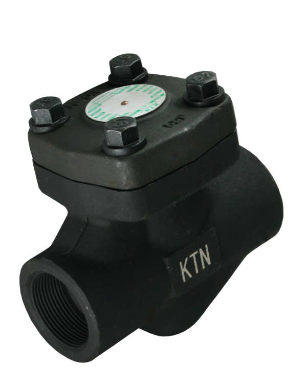 Van một chiều kết nối ren NPT chịu nhiệt cao KTN 584